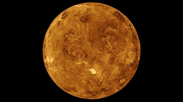 venus m.png