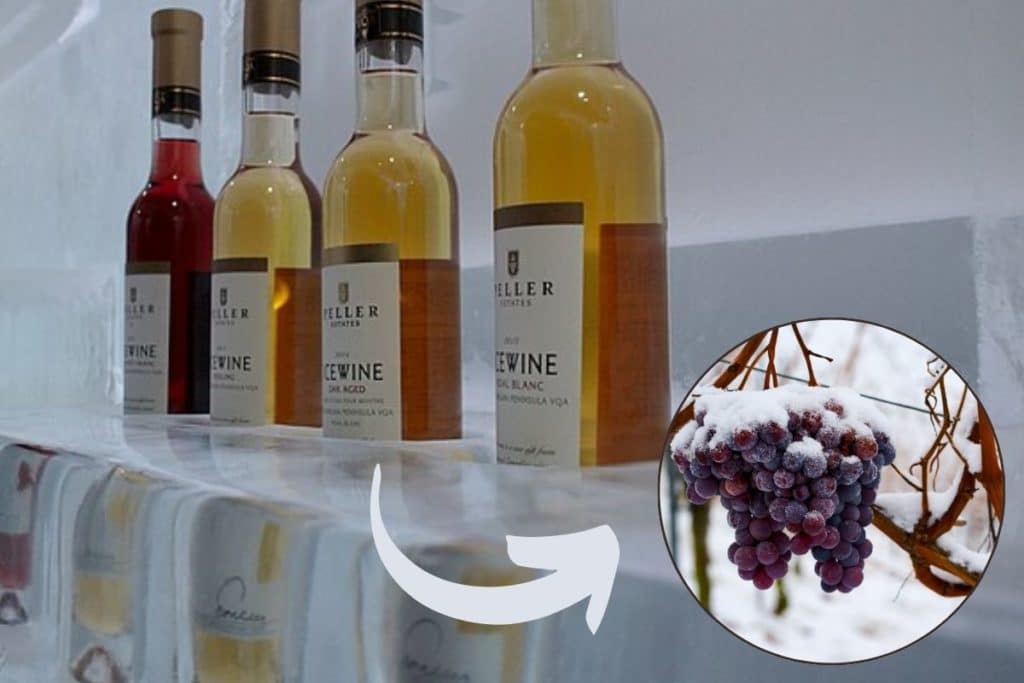 vini di ghiaccio.jpg