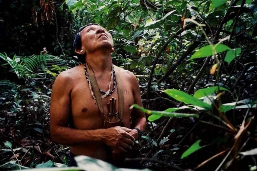 Amazzonia.jpg