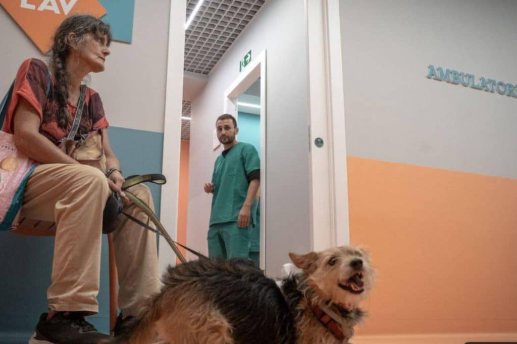 Ambulatorio veterinario sociale Roma 3.jpg