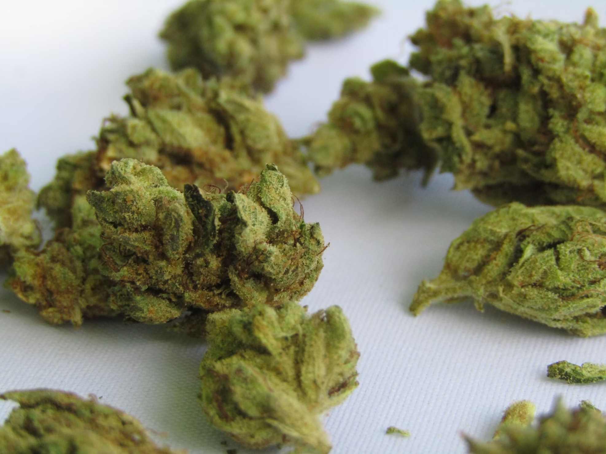 Bolzano, professoressa arrestata per spaccio. In casa e in auto aveva mezzo chilo di droghe: dalla cocaina alla marijuana 1 Bolzano professoressa spaccio droga.jpg