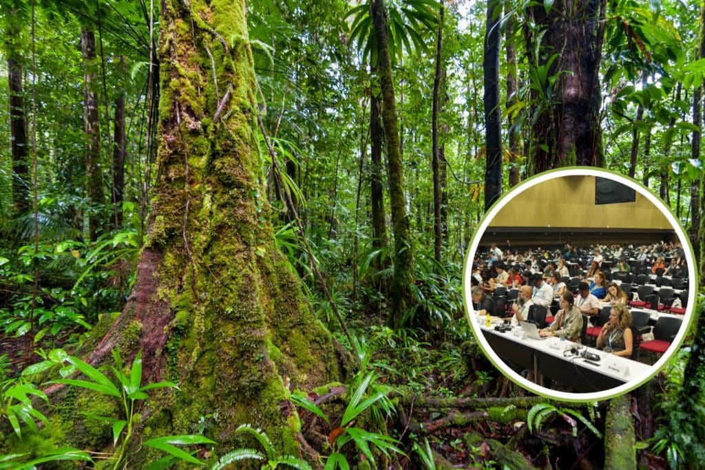 COP16 biodiversita 2.jpg