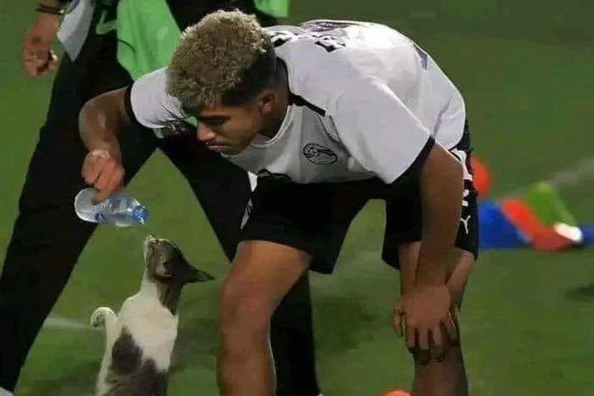 Calciatore dà da bere a un gattino assetato in mezzo al campo, è la cosa più bella che vedrai oggi 1 Da bere gatto.jpg