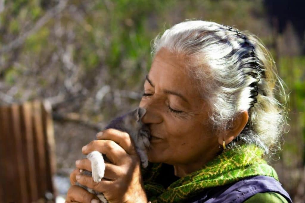 Dipala Chauhan.jpg