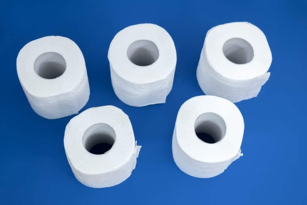 Forli i ragazzi imbrattano i bagni di pipi e la preside propone tre a sorteggio ripuliranno.jpg