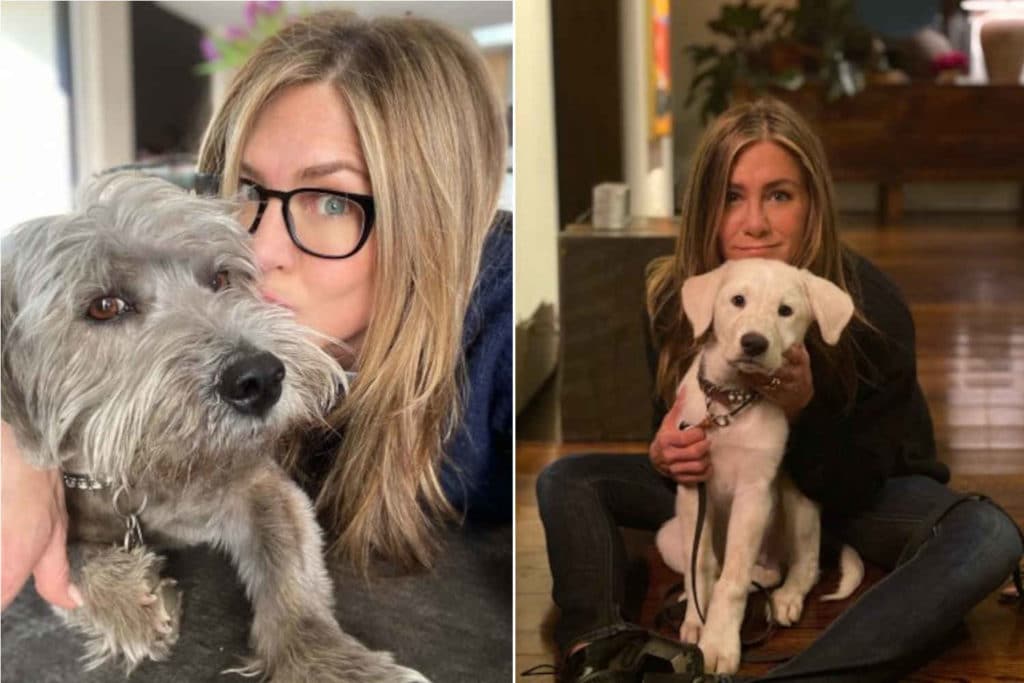 Jennifer Aniston.jpg