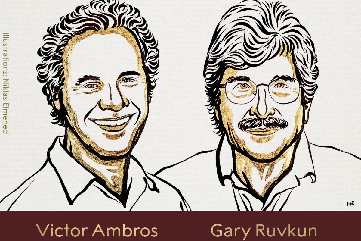 Nobel Medicina 2024 2.jpg