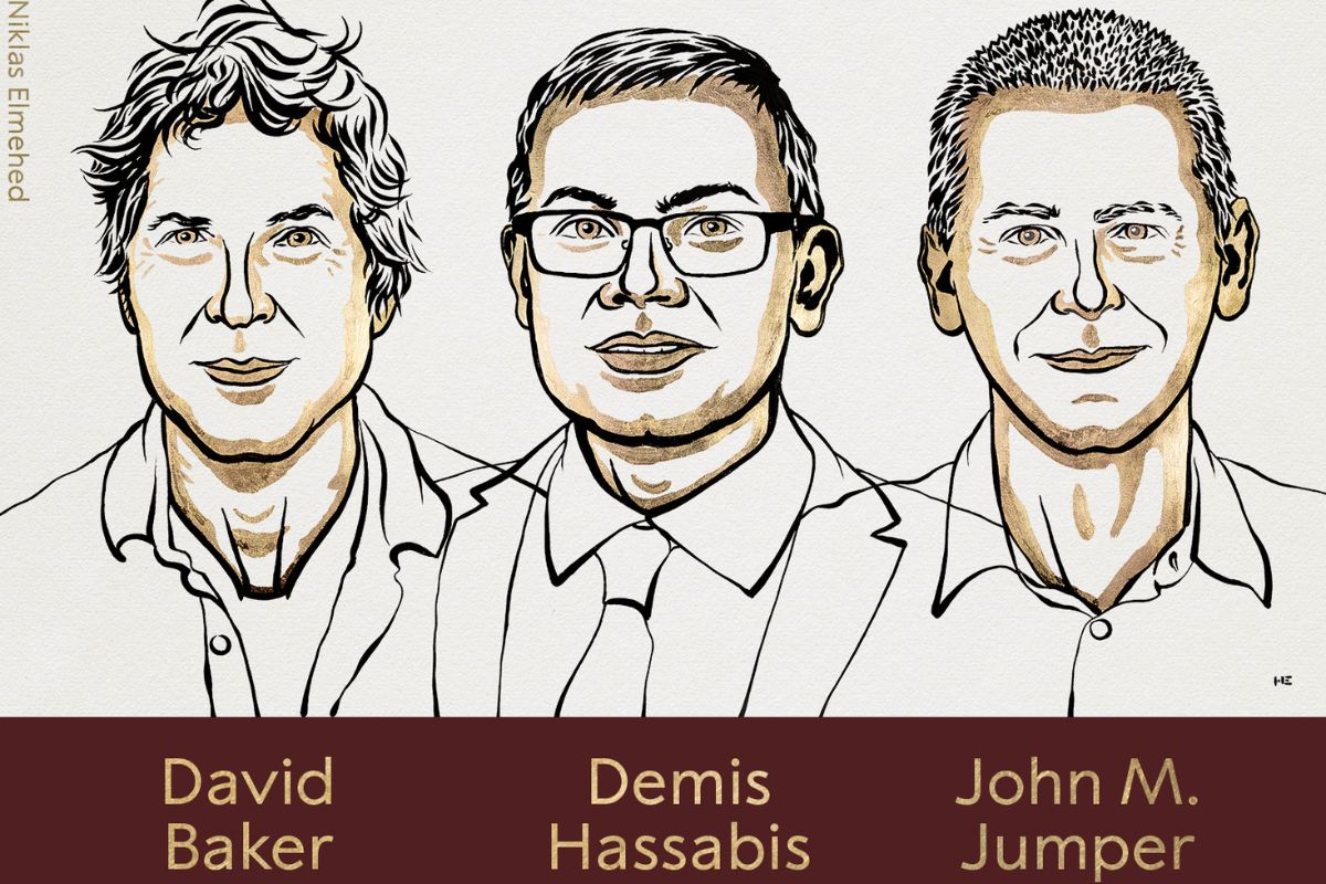 L’IA decodifica il linguaggio della vita: Nobel per la Chimica 2024 a David Baker, Demis Hassabis e John M. Jumper 1 Nobel chimica 2024 2.jpg