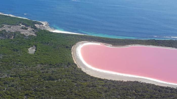 Pink Lake Lake Hillier on Middle Island off the coast of Esperance Western Australia.jpg
