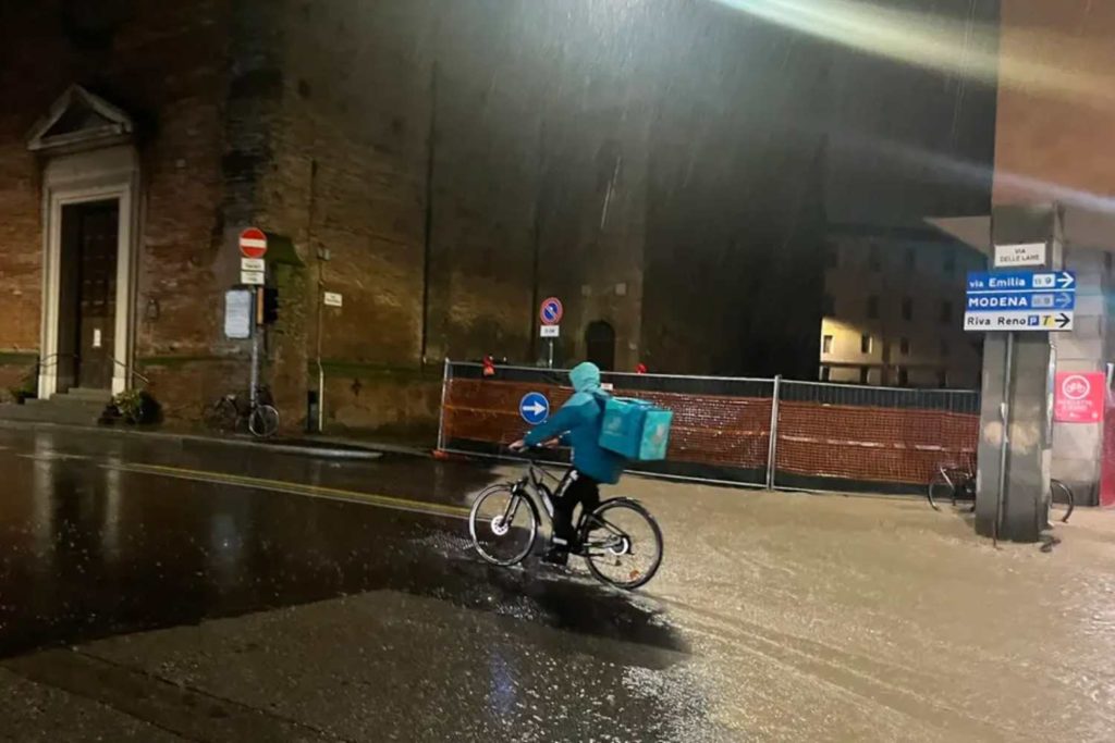 Rider Bologna.jpg