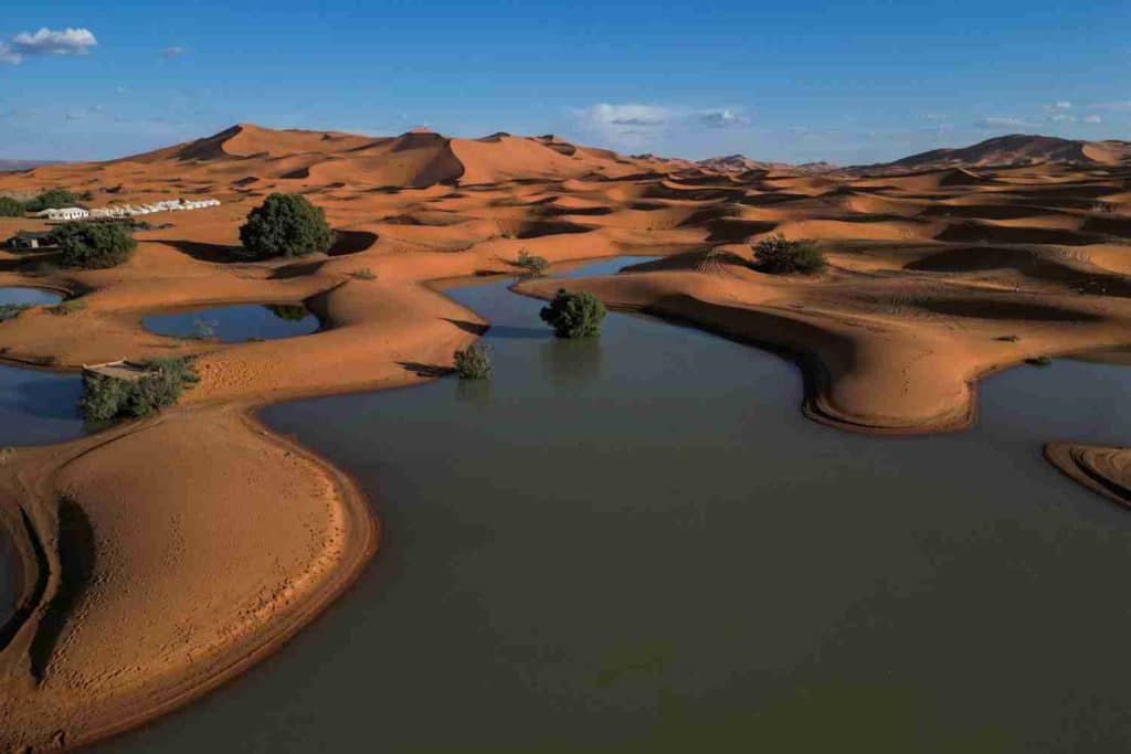 Sahara 2.jpg