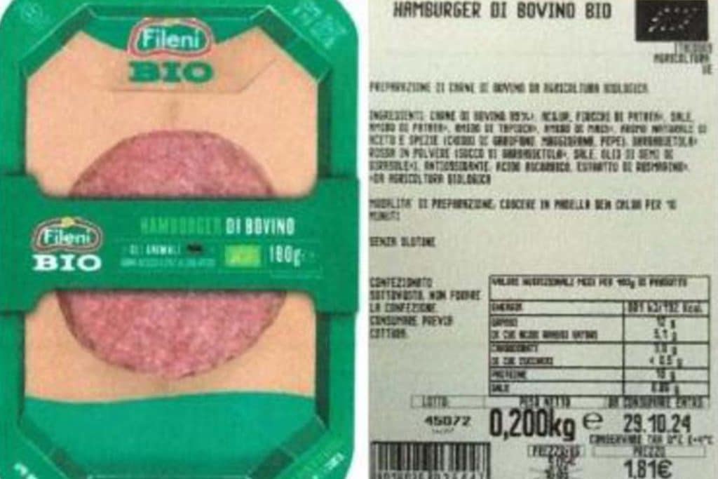 Salmonella hamburger.jpg