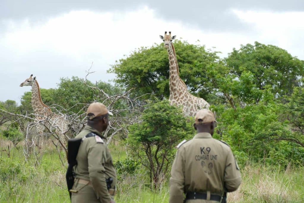 South Lakes Safari Zoo.jpg