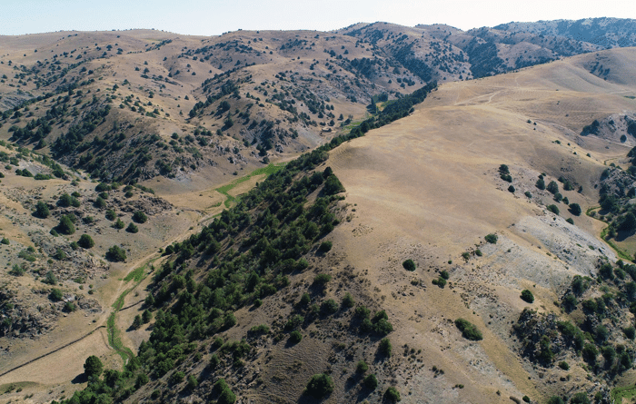 Tugunbulak drone view west over sector A.png