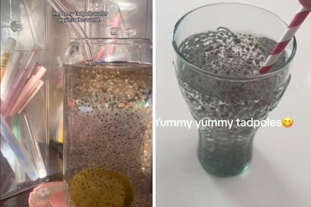 acqua del girino.jpg