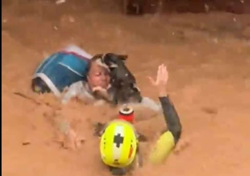 alluvione valencia cane gatti.jpg
