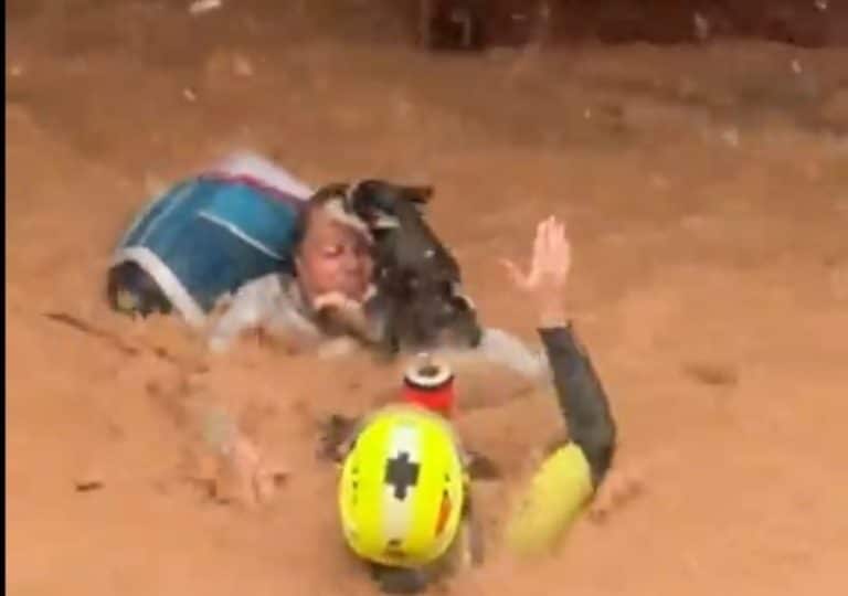 alluvione valencia cane gatti.jpg