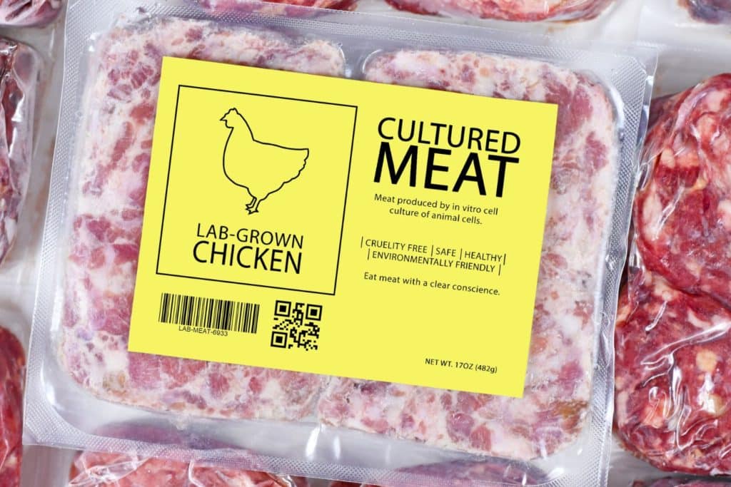 carne coltivata crowfunding torino c.jpg