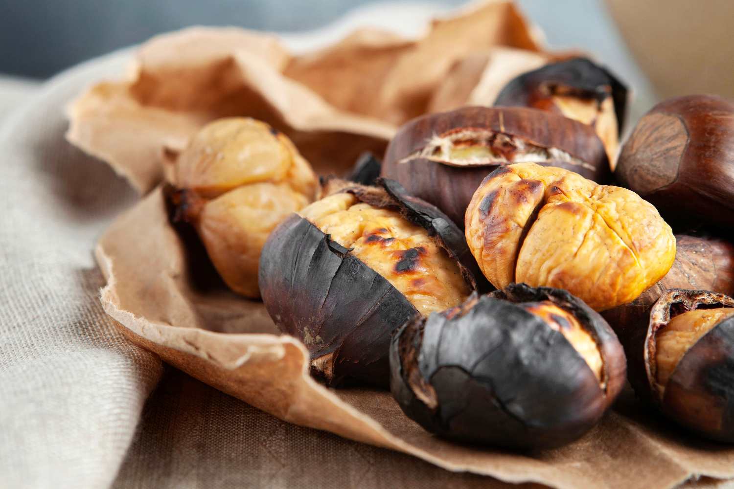 castagne.jpg