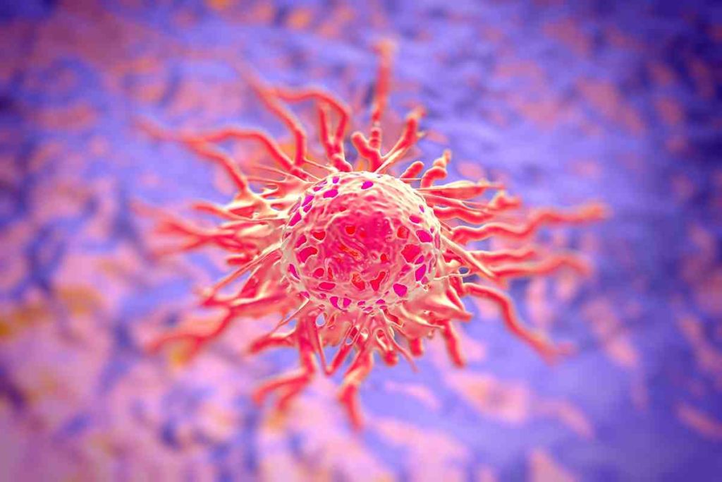 cellule cancro.jpg