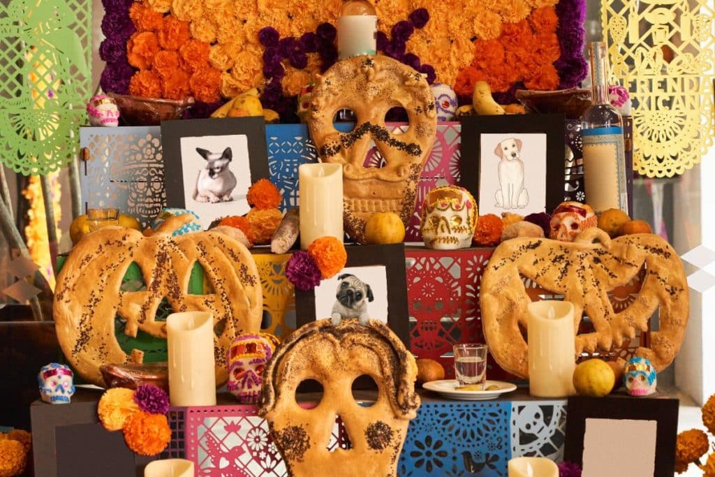 dia de los muertos animali.jpg