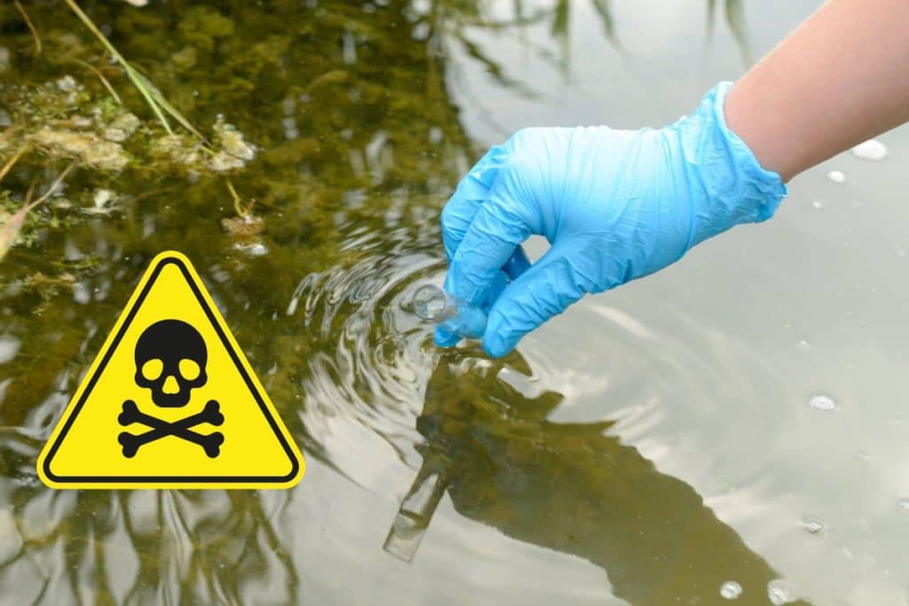 fiume pfas.jpg