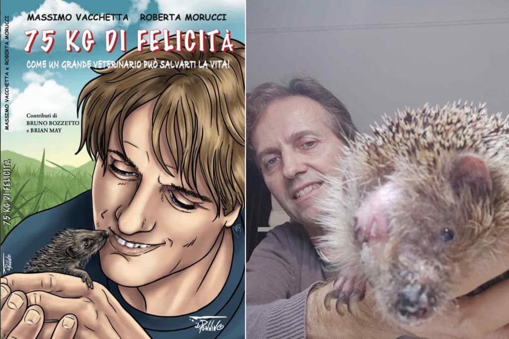 fumetto vacchetta.jpg