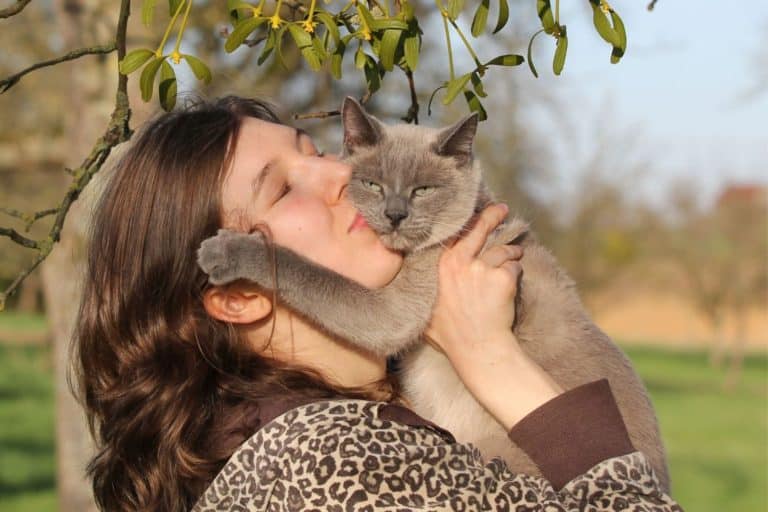 gatti e umani.jpg
