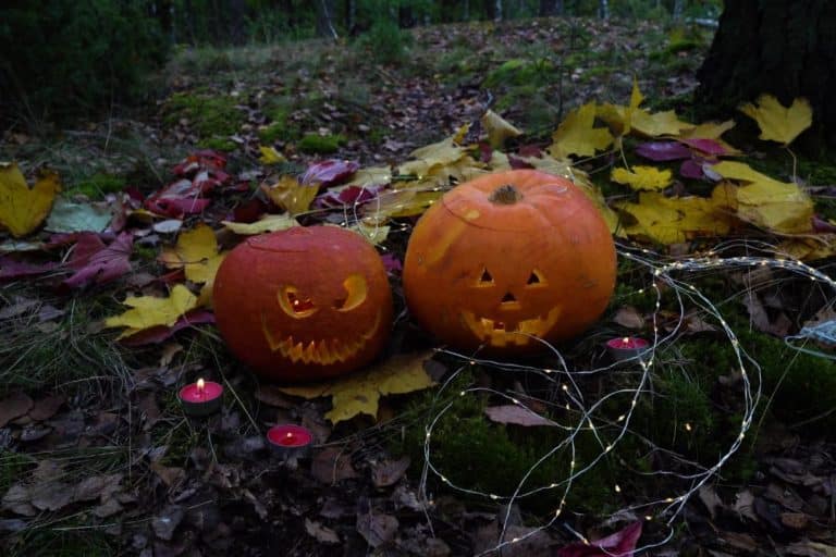 giardino halloween.jpg
