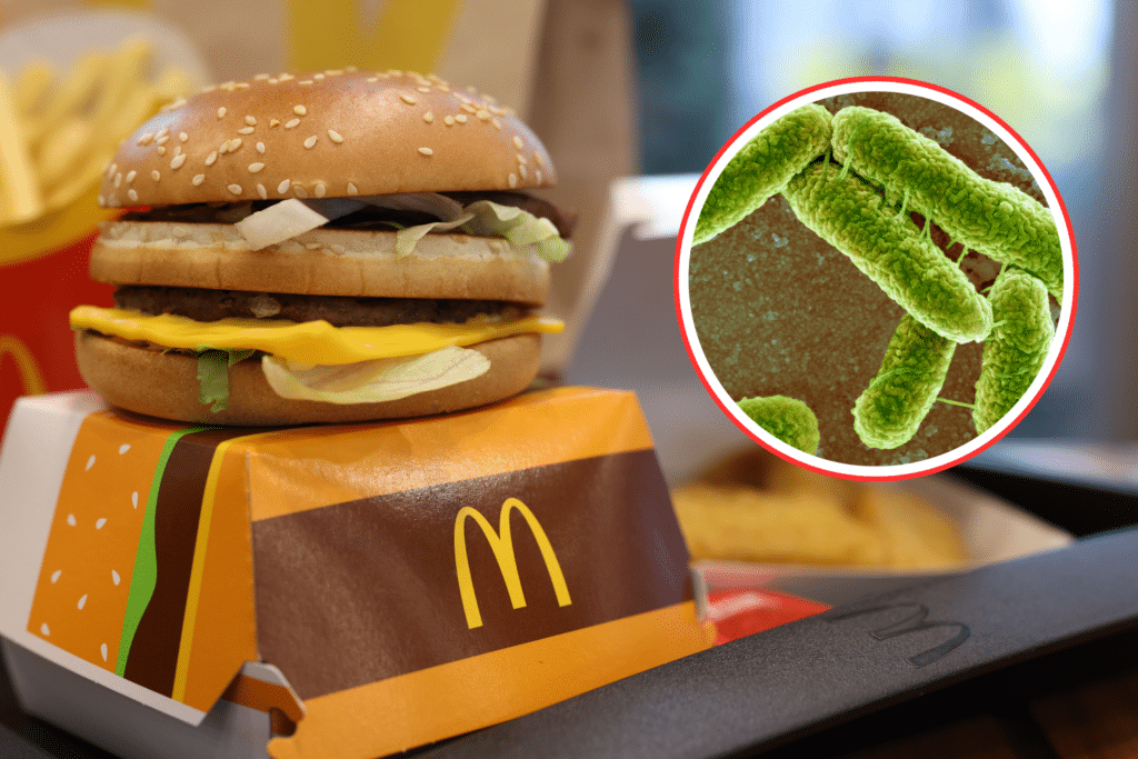 mc donalds escherichia coli.png