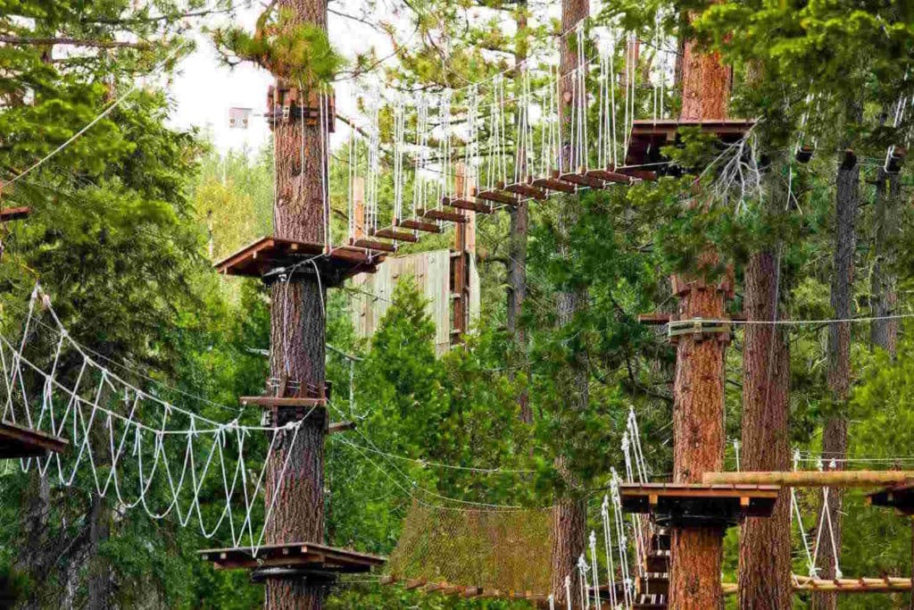 parco avventura 1.jpg