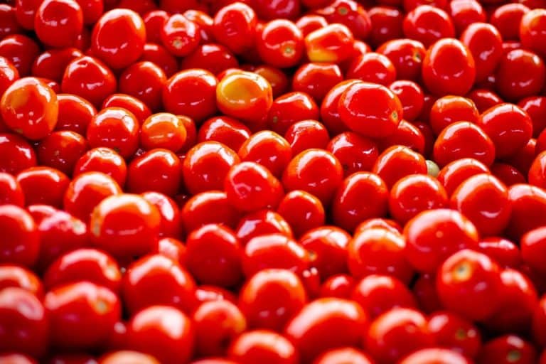 passata pomodoro ue cina.jpg
