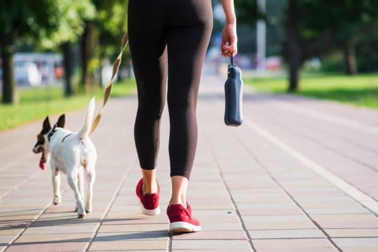 passeggiare cani.jpg