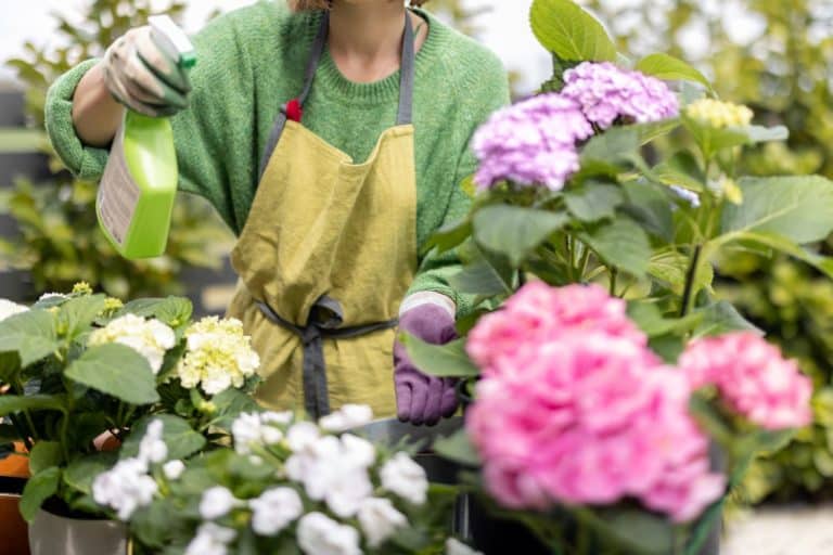pesticidi fiori.jpg