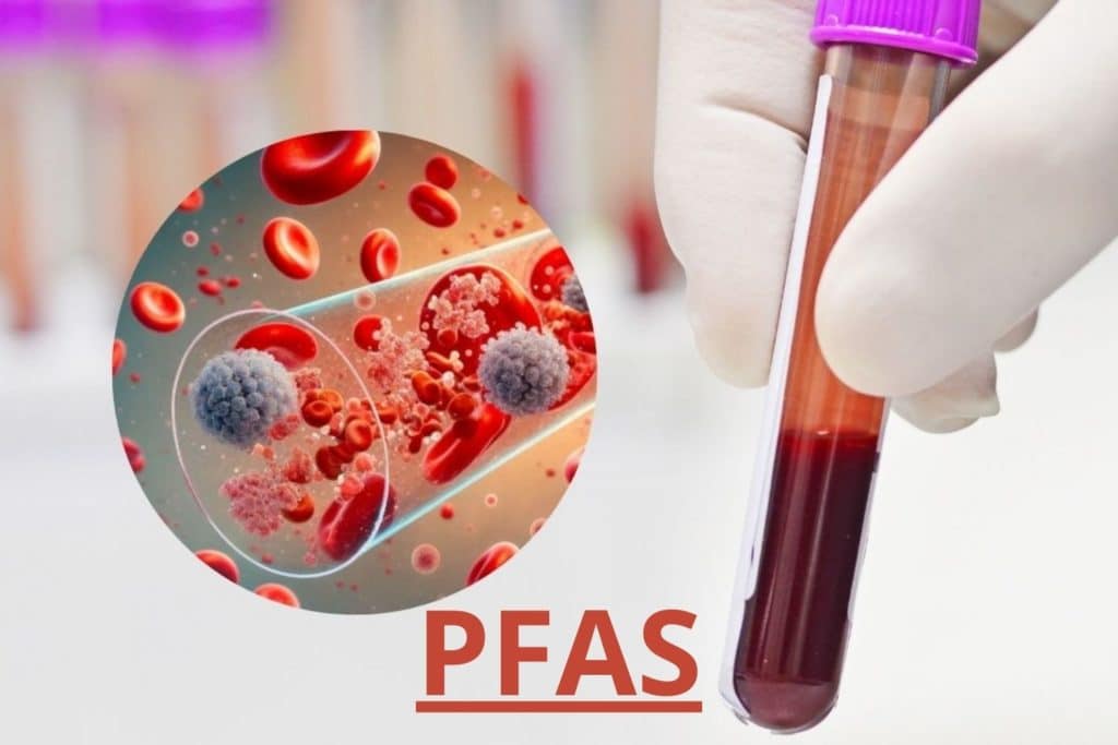 pfas sangue.jpg