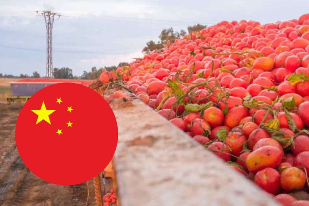 pomodori cina 2.jpg