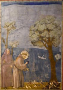 san francesco gettyimages 1285841148 612x612 1.jpg