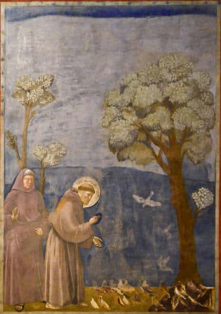 san francesco gettyimages 1285841148 612x612 1.jpg