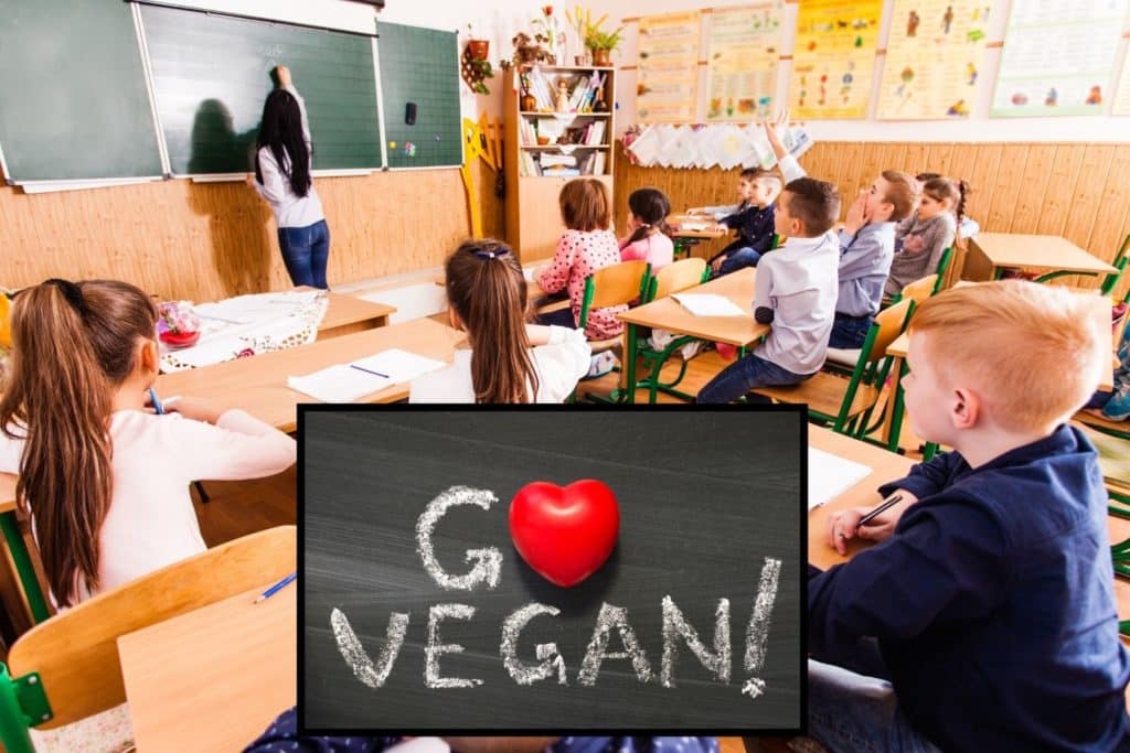 scuola veganesimo.jpg