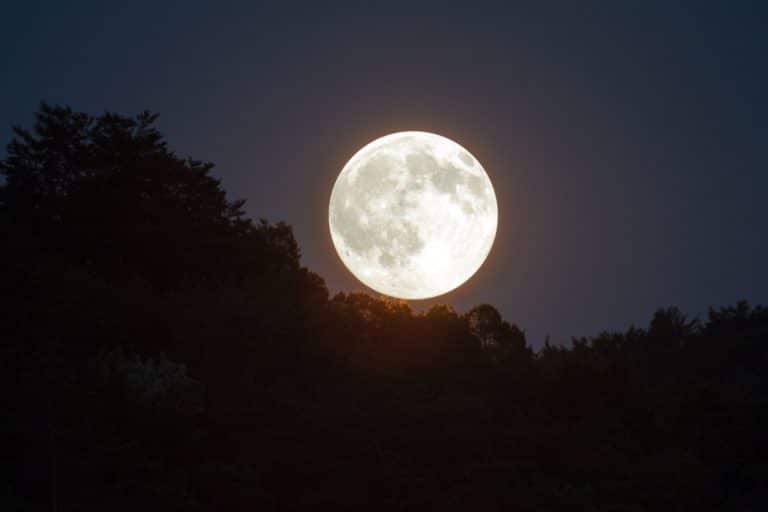 superluna.jpg