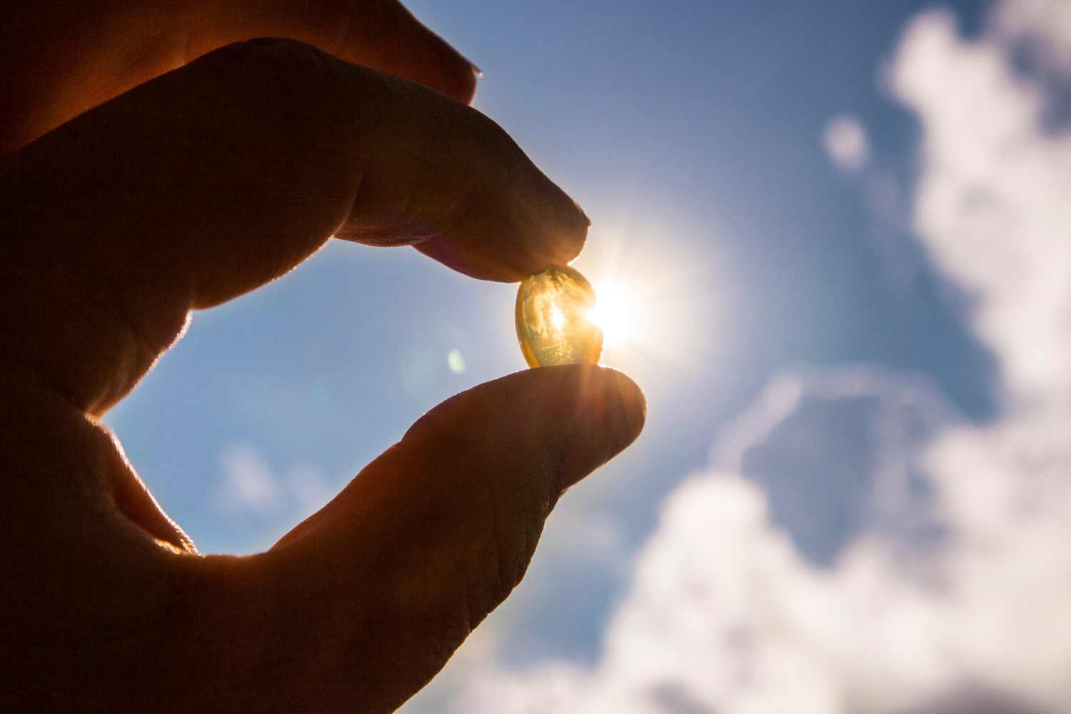 Vitamina D2: che differenza c’è con la vitamina D3 e quale dovresti assumere? 1 vitamina D.jpg