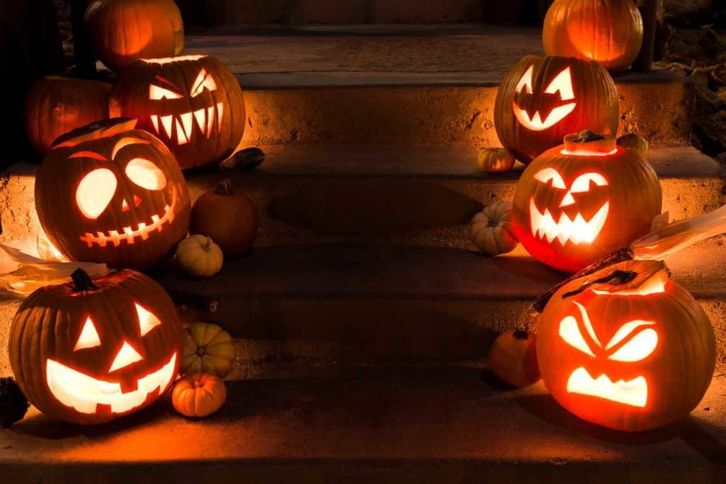 zucca lanterna.jpg
