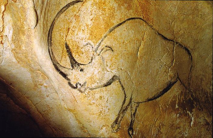 800px Rhinoceros grotte Chauvet.jpg