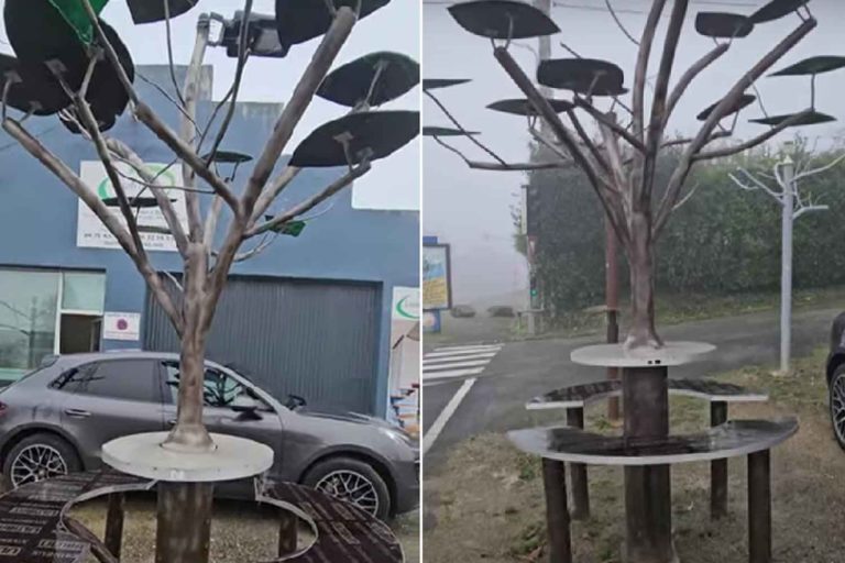 Albero solare.jpg