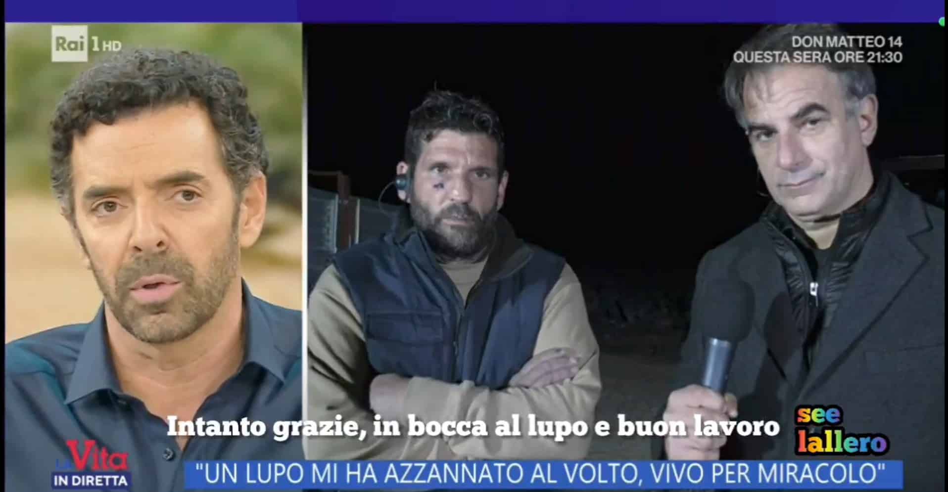 Gaffe di Matano a La vita in diretta augura In bocca al lupo a un uomo che era stato aggredito dallanimale .jpg