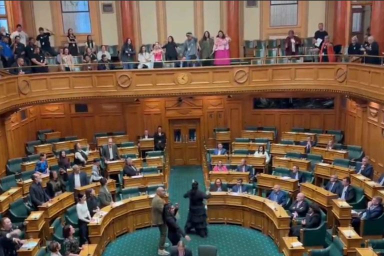 Parlamento Maori.jpg