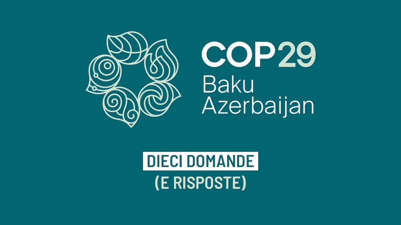 cop29 la guida.jpeg