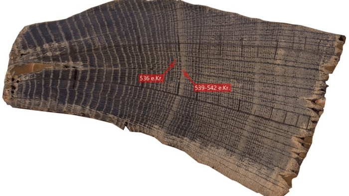 csm Egetrae 2 lille Jonas O. Jensen Moesgaard Museum ba0f9618fc.png