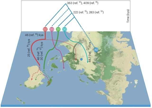 denisovan map genetics.jpg