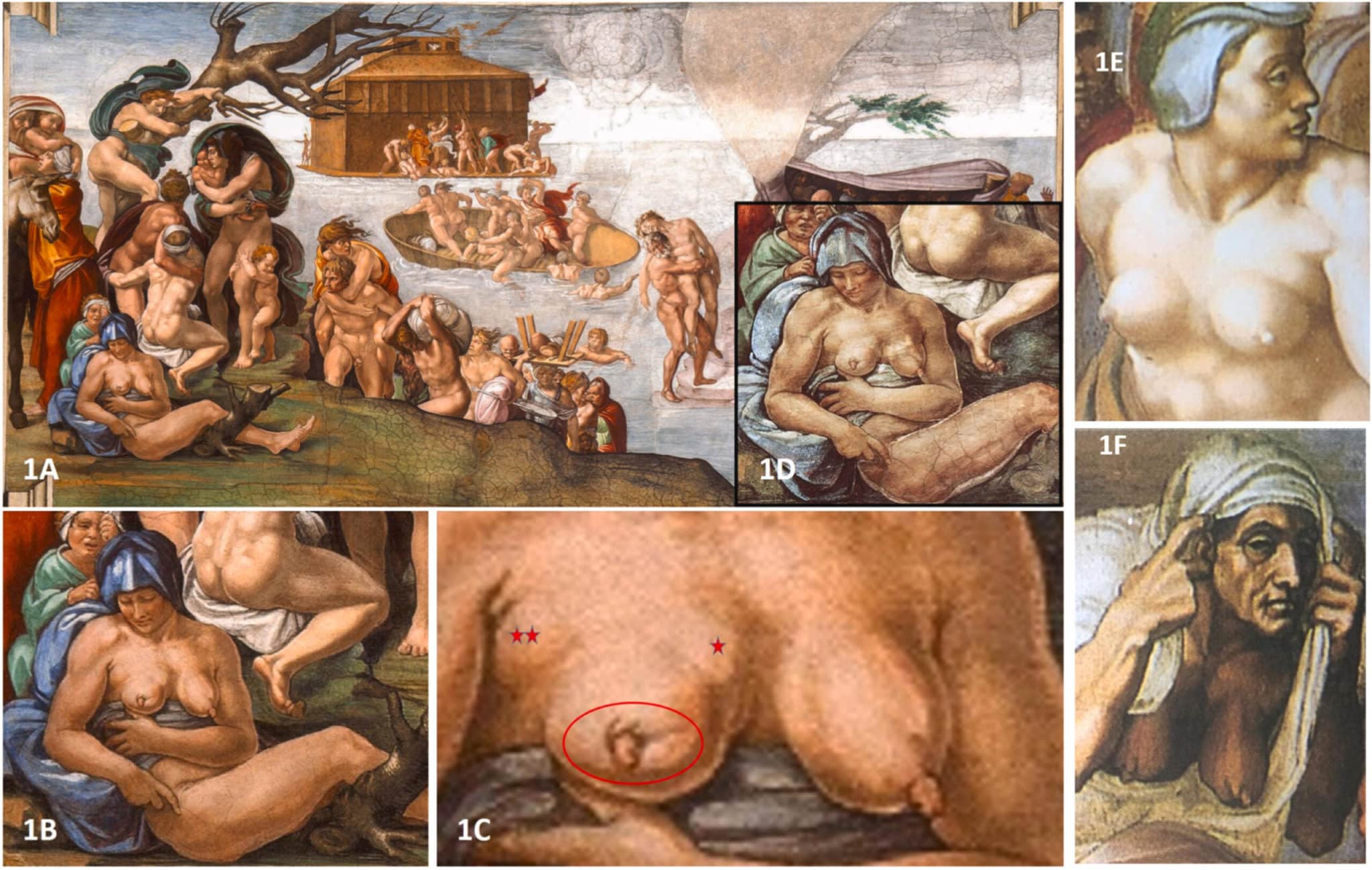 Michelangelo e la straordinaria ipotesi sul Diluvio Universale: «Una delle donne è rappresentata con il tumore al seno» – La ricerca 1 diluvio universale scaled.jpg